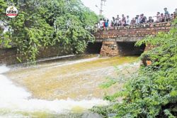 Rajasthan Monsoon: राजस्थान में बदल रहा मानसून का पैटर्न, एक दशक में इतनी फीसदी
से अधिक बढ़ी बारिश - image