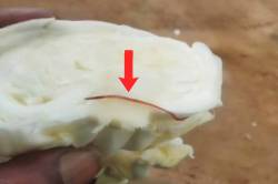 पत्ता गोभी में निकला सांप जैसा जहरीला कीड़ा, VIDEO - image