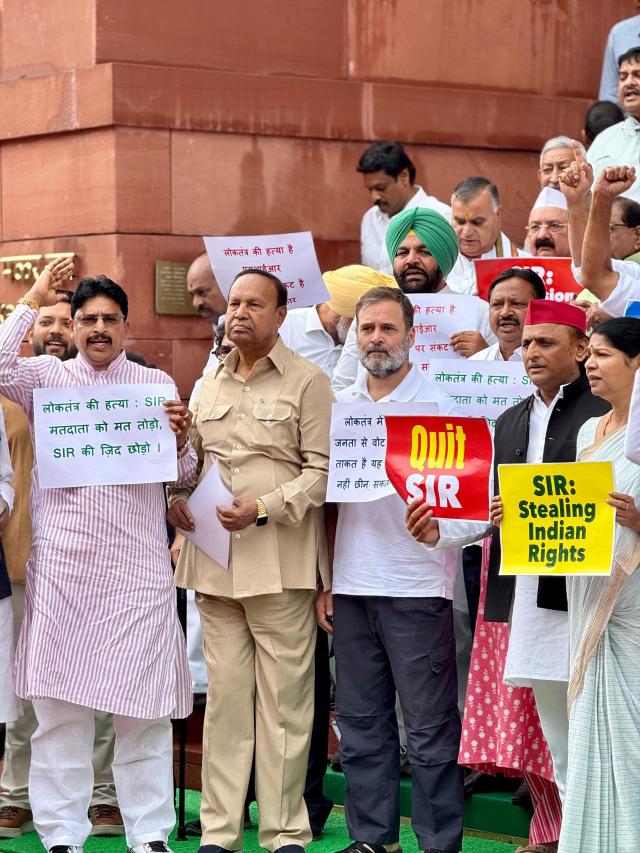 संसद में राहुल गांधी भी प्रदर्शन में शामिल हुए।