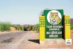 सेंचुरी एरिया 1823 वर्ग किमी करने के लिए सुप्रीम कोर्ट में याचिका दायर - image