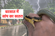 Snake Bite prevention
