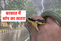 Snake Bite prevention