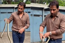 सावन के महीने में सोनू सूद सांप पकड़े आए नजर, वीडियो शेयर कर बताया क्या करेंगे
आगे - image