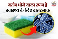 Dangerous bacteria in sponge