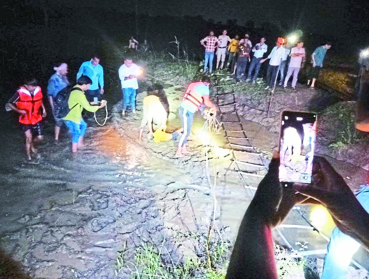 watch video…प्रशासन की बड़ी चूक: पानी से भरे बोरवेल के गड्ढे में डूबीं बच्चियां,
दोनों की दर्दनाक मौत