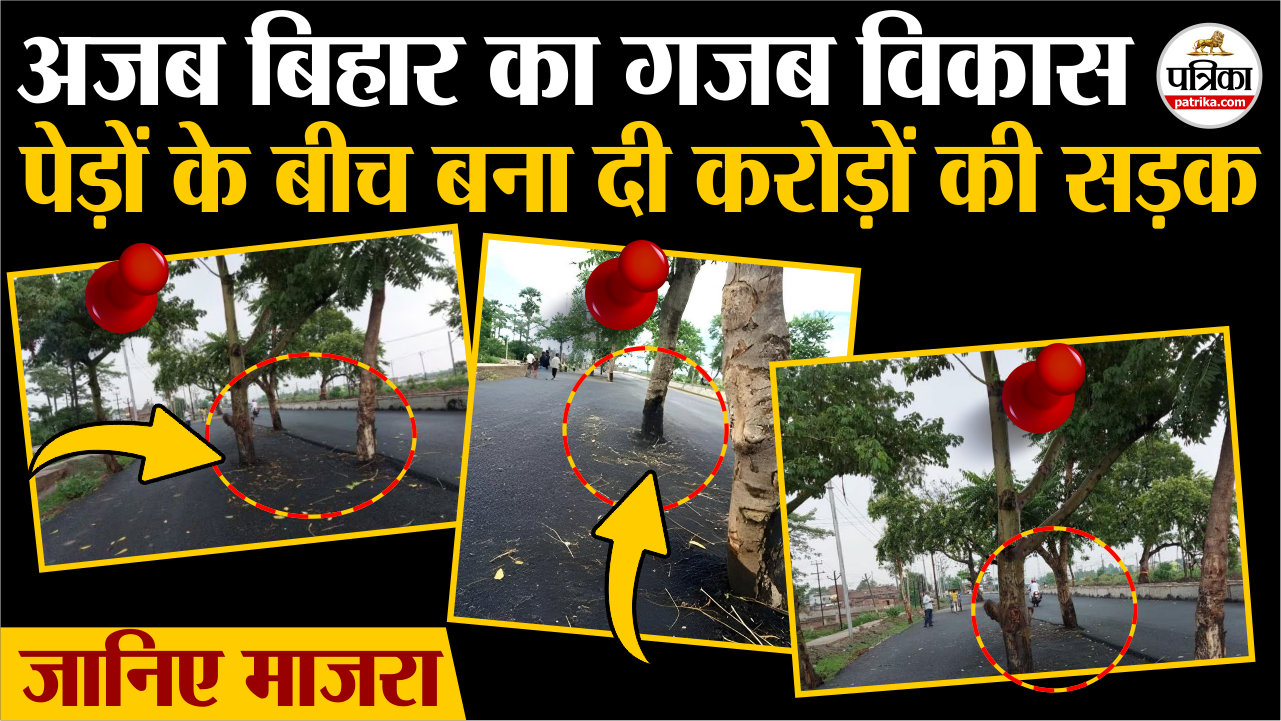 अजब बिहार का गजब विकास | पेड़ों के बीच बना दी 100 करोड़ की सड़क.. जानिए माजरा