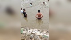 दर्दनाक हादसा: नाडी में डूबने से तीन बच्चों की मौत, गांव में पसरा मातम - image