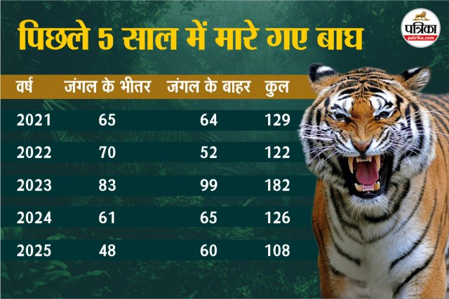 अंतरराष्ट्रीय बाघ दिवस 