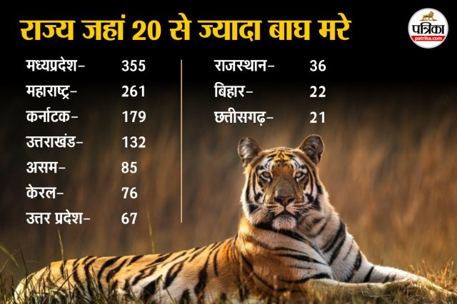 अंतरराष्ट्रीय बाघ दिवस 
