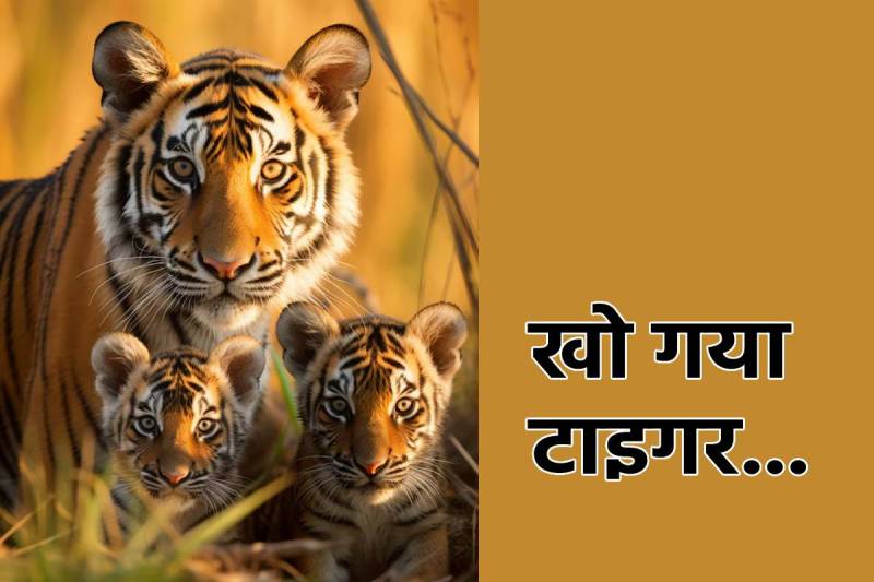 Tiger Missing With two cubs in Bhopal Forest Department Searching