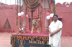 Sawai Madhopur: जोगी महल गेट पर बना रणथंभौर की रानी बाघिन ‘मछली’ का स्मारक, वन
मंत्री ने किया उद्घाटन - image