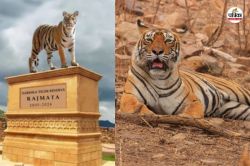 Tigress Machli: सरिस्का की तर्ज पर रणथंभौर में बन रहा बाघिन का स्मारक, जानें
‘मछली’ के जीवन से जुड़ी 10 बड़ी बातें - image