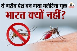 एशिया का सबसे नया देश बना मलेरिया मुक्त, भारत Malaria Free Country बनने के लिए
क्या कर रहा है? - image
