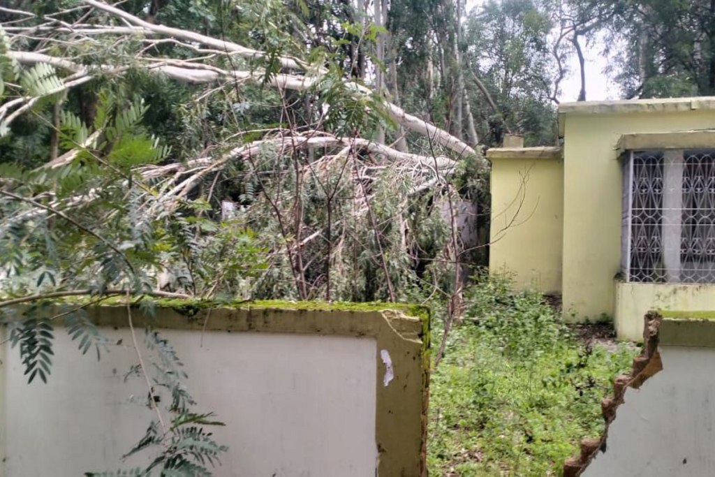 Trees fell on SECL quarters