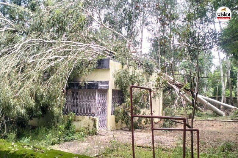 Trees fell on SECL quarters