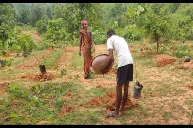 UP Farmers Carbon Credit Scheme