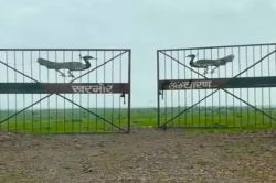 बड़ी राहत: 14 ग्राम पंचायतों का 215 किलोमीटर लंबा इलाका मुक्त, डीनोटिफिकेशन जारी - image
