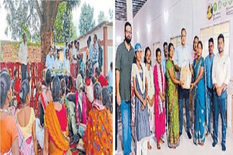 महिलाओं को समूह से जोड़कर रोजगार देने के निर्देश(photo-patrika)