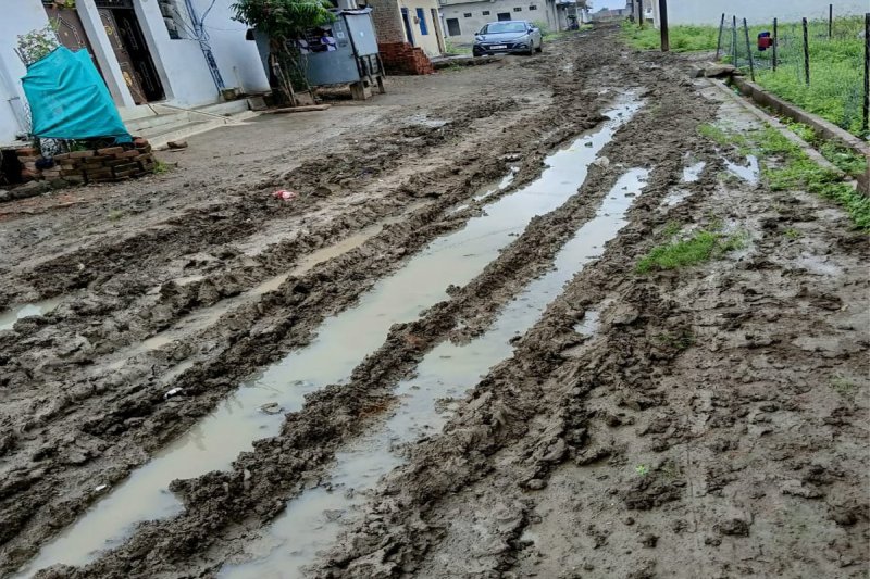 The colony roads are in worse condition than the village streets, it is difficult to even walk on foot