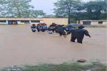 Due to heavy rains, water filled in Nivoda school premises, villagers evacuated children