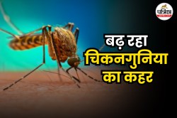 119 देशों में फैला ये भयानक वायरस, WHO की जारी की चेतावनी - image