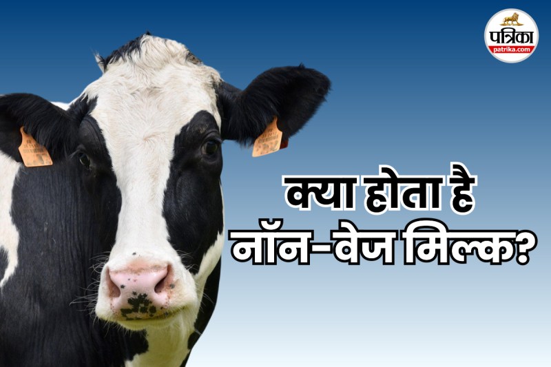 What is Non Veg Milk
