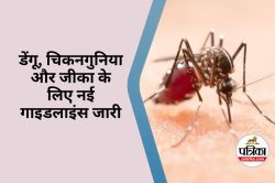 WHO का बड़ा ऐलान : Dengue, Chikungunya, Zika के लिए नई गाइडलाइंस जारी - image