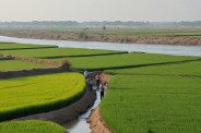 Water from Indus river