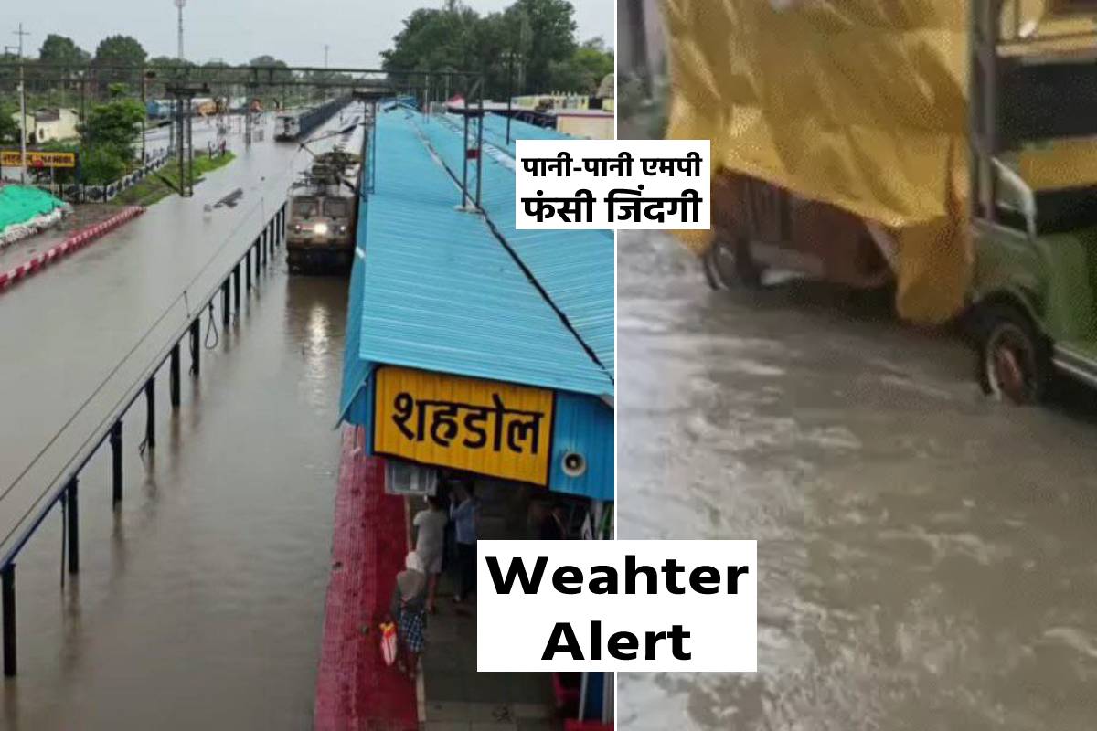 Weather Alert in MP Heavy Rain Havoc