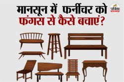 Monsoon Hacks: मानसून में लकड़ी के फर्नीचर को कैसे बचाएं फंगस से? ट्राई करें ये
DIY हैक्स - image