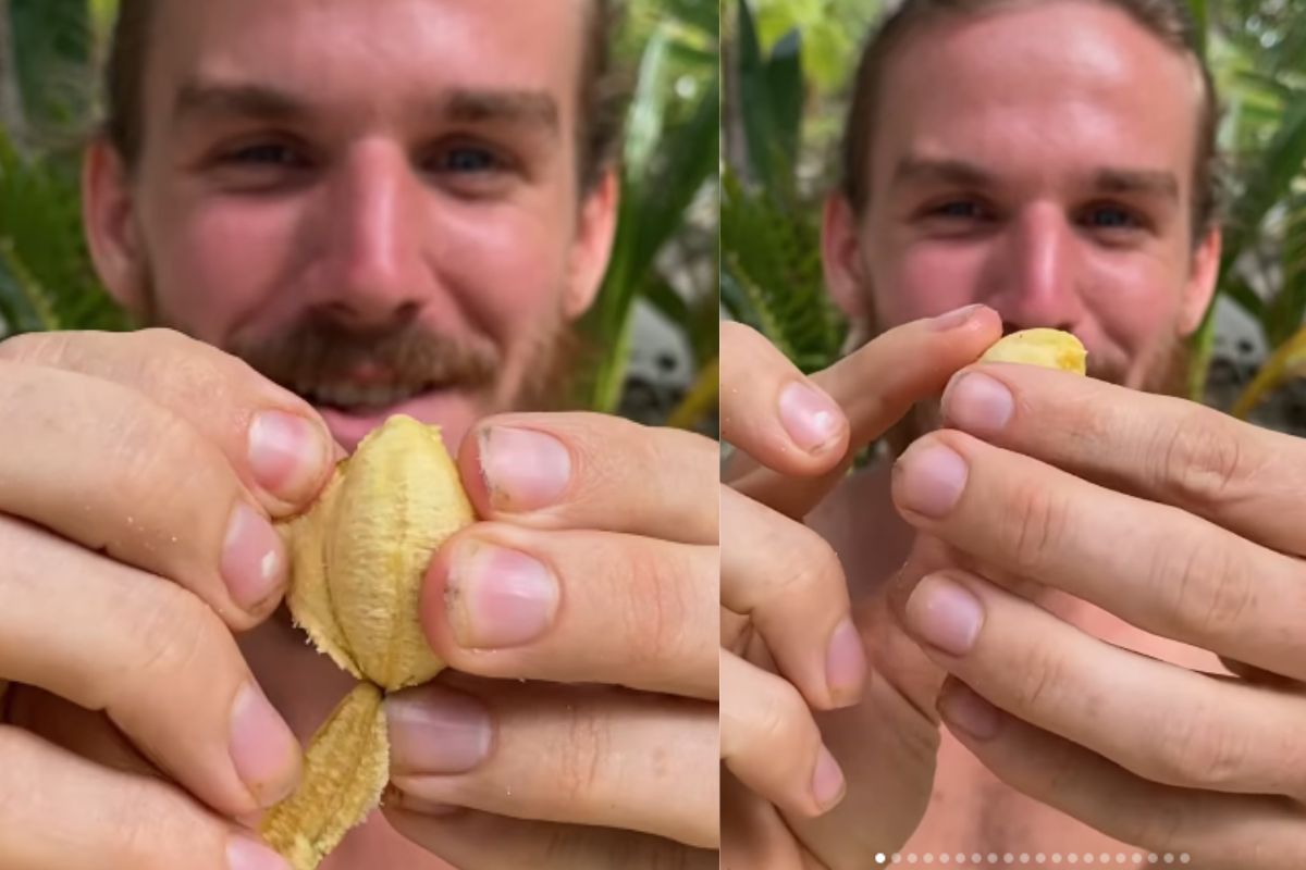 World’s Smallest Banana: दुनिया का सबसे छोटा केला कहां मिलता है? फायदे भी हैं
गजब!