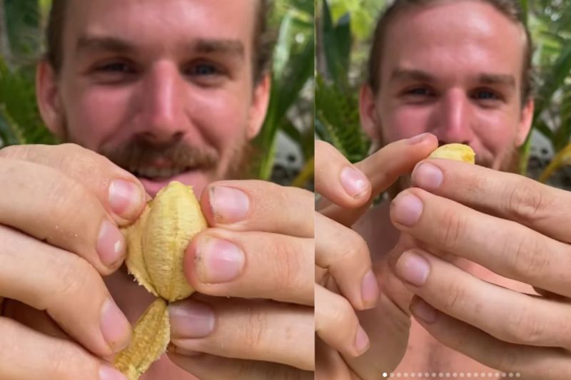 World's smallest banana, Smallest banana in the world, Mini banana variety, Tiny banana health benefits, Small banana from India, Yelakki banana benefits for skin, Yelakki banana benefits for weight loss, Yelakki banana side effects, Yelakki banana benefits for diabetes