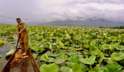 Wular-lake