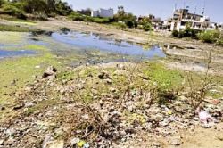 एनजीटी का कोटड़ी तालाब से अतिक्रमण हटाने व प्रदूषण रोकने का आदेश - image