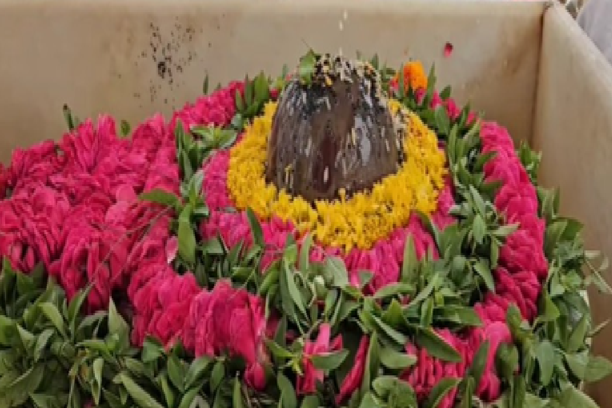 सावन में भोलेबाबा को अर्पित करें ये खास चीज, पितरों के प्रसन्न होते ही खुल
जाएंगे किस्मत के ताले