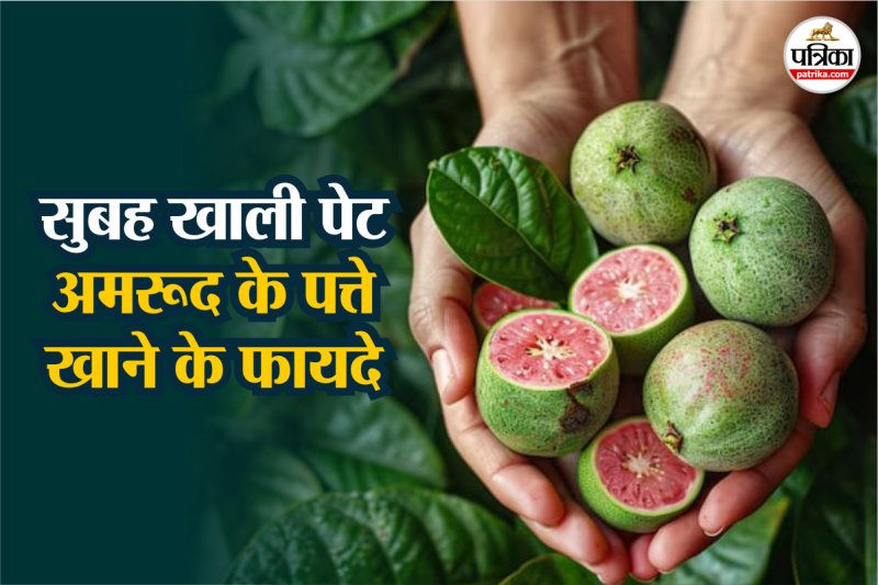 Health benefits of guava leaves
