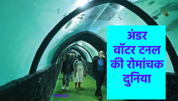 भोपाल में बनेगा 40 करोड़ का एक्वा पार्क, वॉटर टनल व 3D इंटरेक्टिव जोन भी किए
जाएंगे विकसित - image