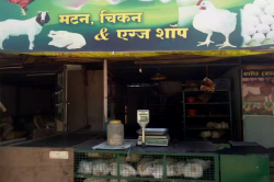 एमपी के इस शहर में आज से मांस, मछली और अंडा बिक्री पर बैन, जारी हुआ आदेश - image
