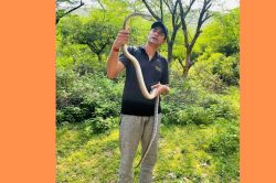 सांपों के साथ खेलते हैं सीकर के आवीश! 3 बार सांप ने काटा… जानिए रणथम्भौर के
स्नैक मैन की कहानी - image