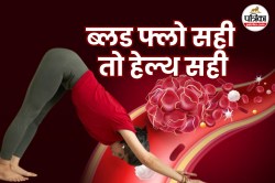 Yoga For Blood Circulation: रोजाना करें ये 5 योगासन, ब्लड सर्कुलेशन होगा तेज और
शरीर रहेगा एक्टिव व हेल्दी - image