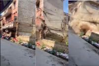 building collapsed in Sri Ganganagar