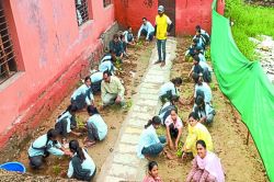 पौधरोपण कर दी पर्यावरण संरक्षण की जानकारी - image