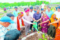 जलवायु परिवर्तन के प्रभावों के बचाव का उपाय है हरयाळो राजस्थान - image