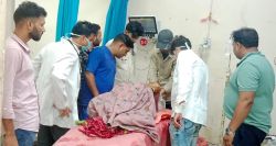 चारा डाल रहीं गृहणी पर ऊंट ने कर दिया हमला, सिर में आए टांके - image