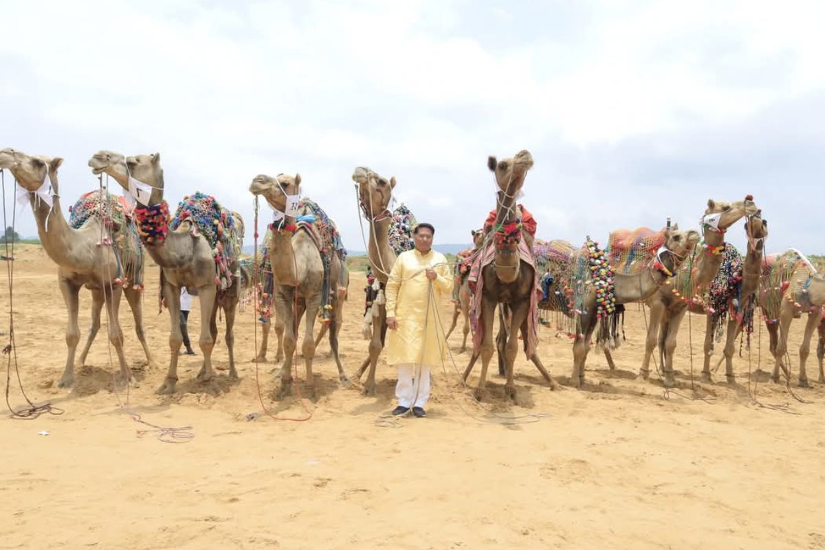 Camel Race : रेगिस्तान की रेत पर दौड़े ऊंट, पुष्कर में पहली राष्ट्रीय ऊंट दौड़
चैम्पियनशिप का भव्य शुभारंभ