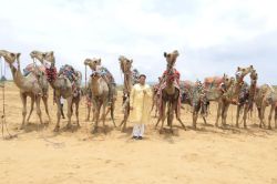 Camel Race : रेगिस्तान की रेत पर दौड़े ऊंट, पुष्कर में पहली राष्ट्रीय ऊंट दौड़
चैम्पियनशिप का भव्य शुभारंभ - image
