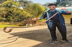 Nag Panchami 2025: रायपुर के बहादुर स्नेक रेस्क्यूअर, अब तक हजारों सांपों की जान
बचाई - image