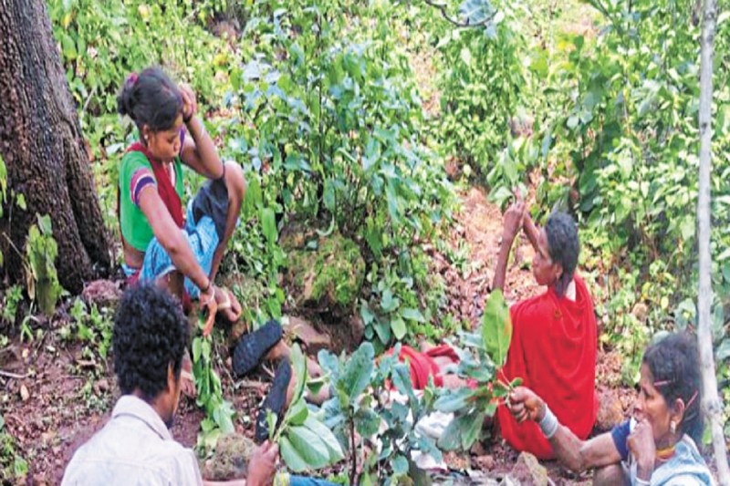 CG Sky Lightning: आकाशीय बिजली का कहर, तीन महिलाओं की दर्दनाक मौत, एक गंभीर रुप से घायल