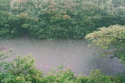 CG Weather: बारिश थमते ही बढ़ा उमस , अब पांच दिन वर्षा के आसार कम - image