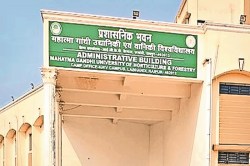 CG News: बीएससी के लिए द्वितीय चरण की काउंसलिंग शुरू, 28 जुलाई तक पंजीयन तारीख - image